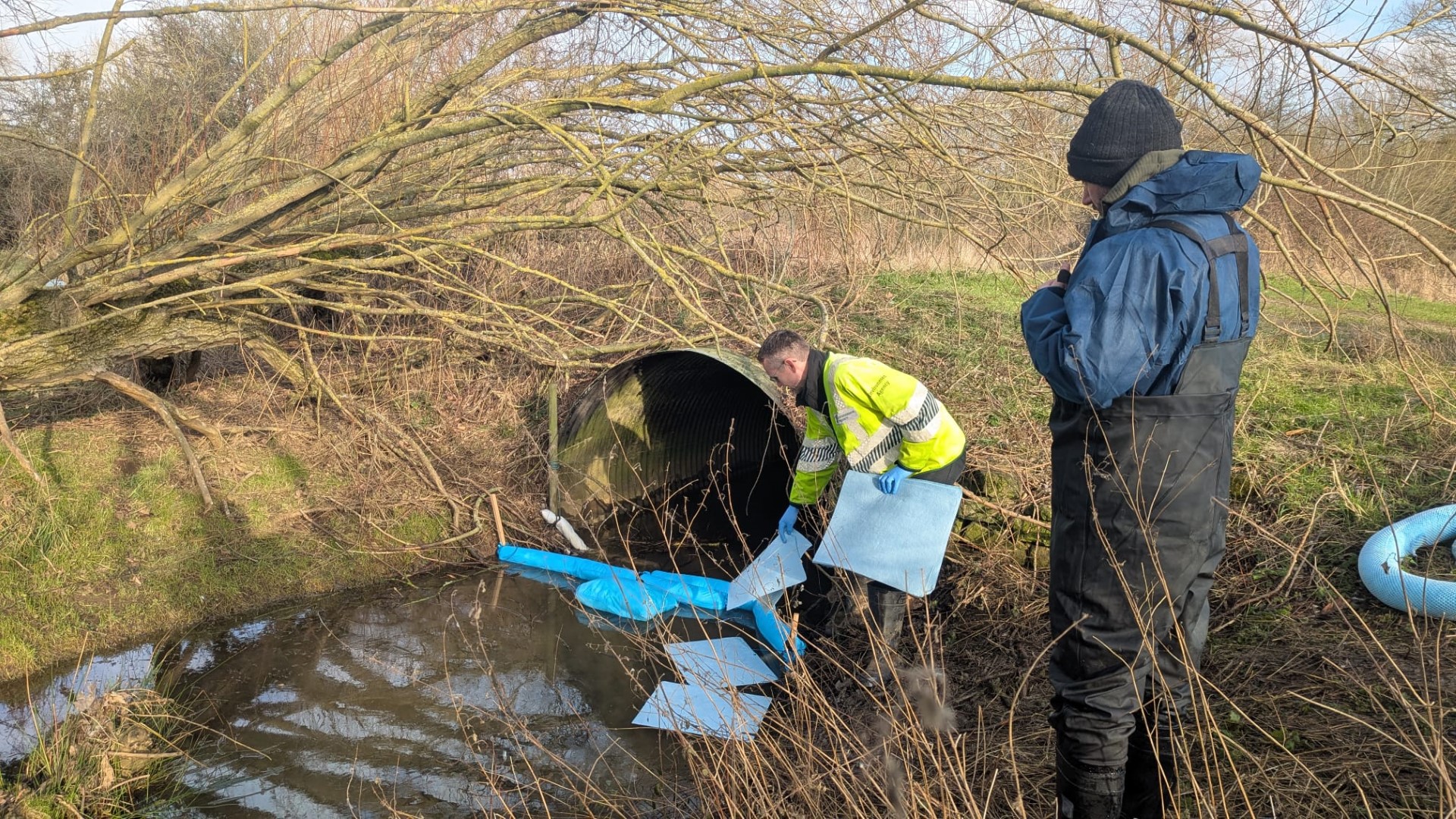 Oil spill causes damage to local wildlife near to Rutland Water