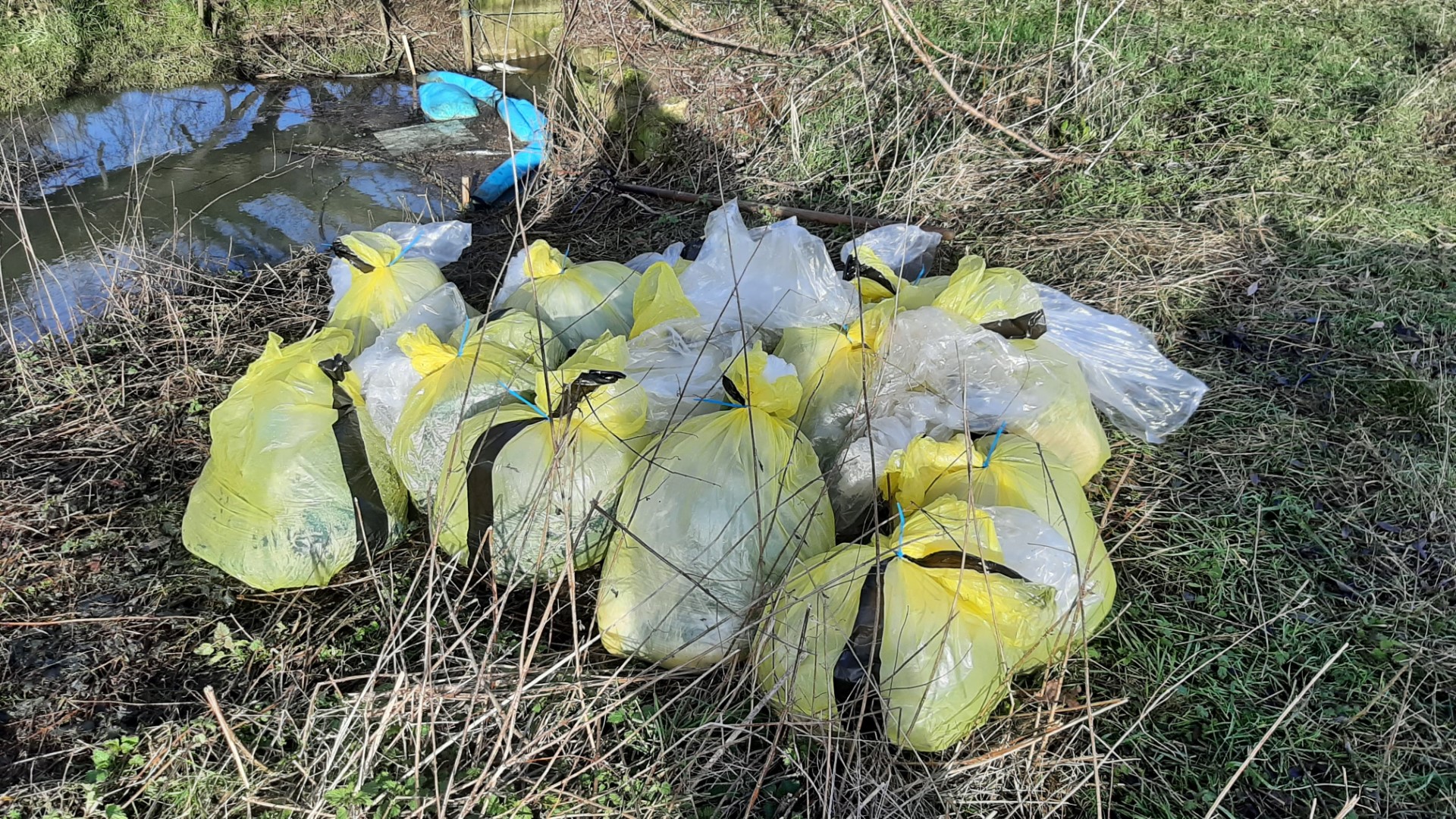 Pile of yellow and white trash bags in a grassy area near a stream. Overgrown vegetation and water reflect trees in the background.
