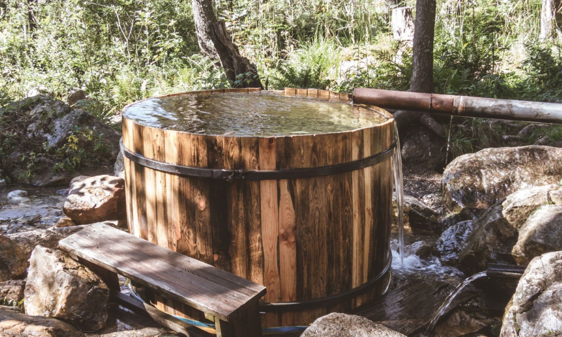 A cold plunge tub in a wooded area on a sunny day