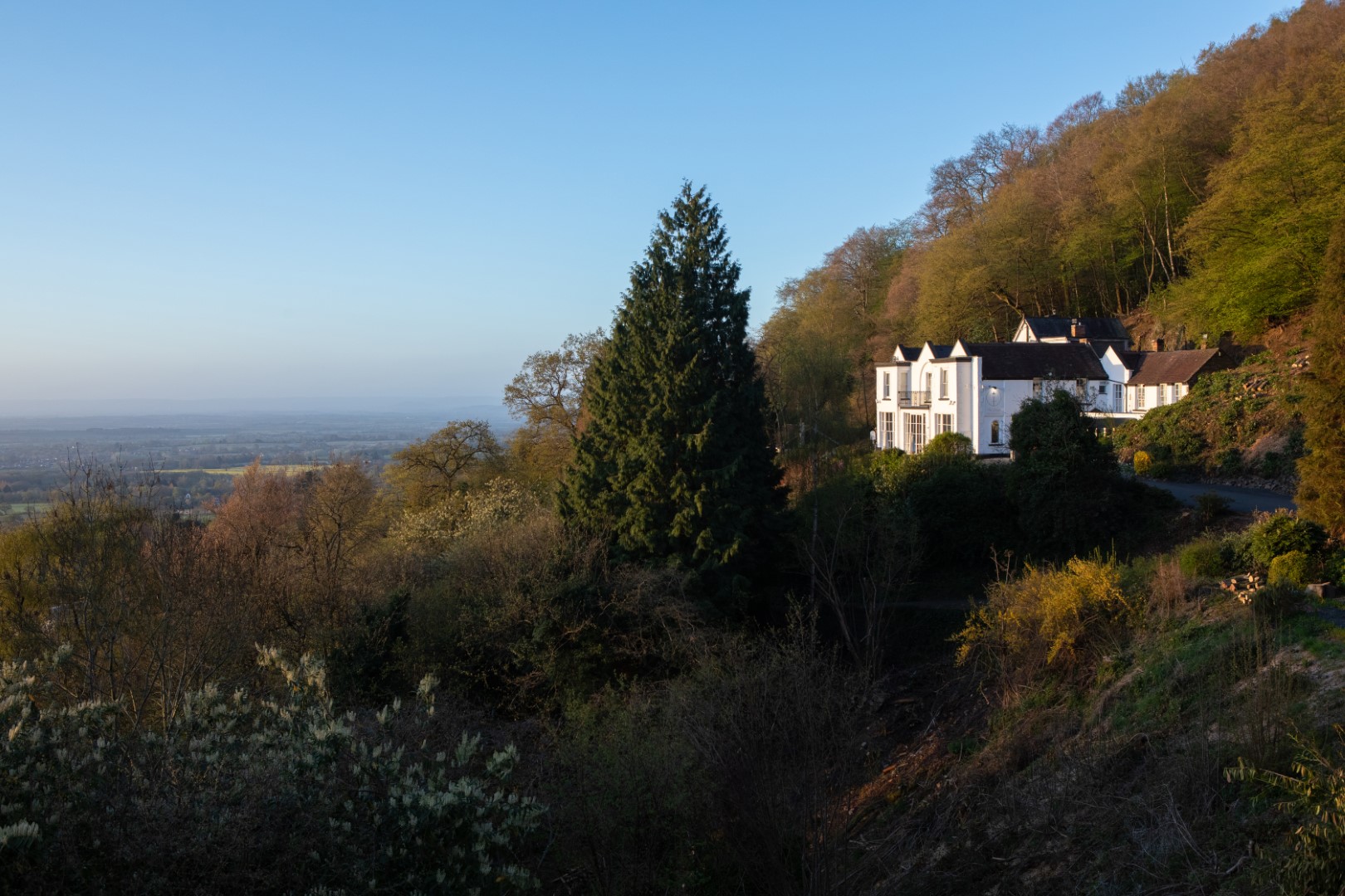 Reviewed: The Cottage in the Wood, Malvern