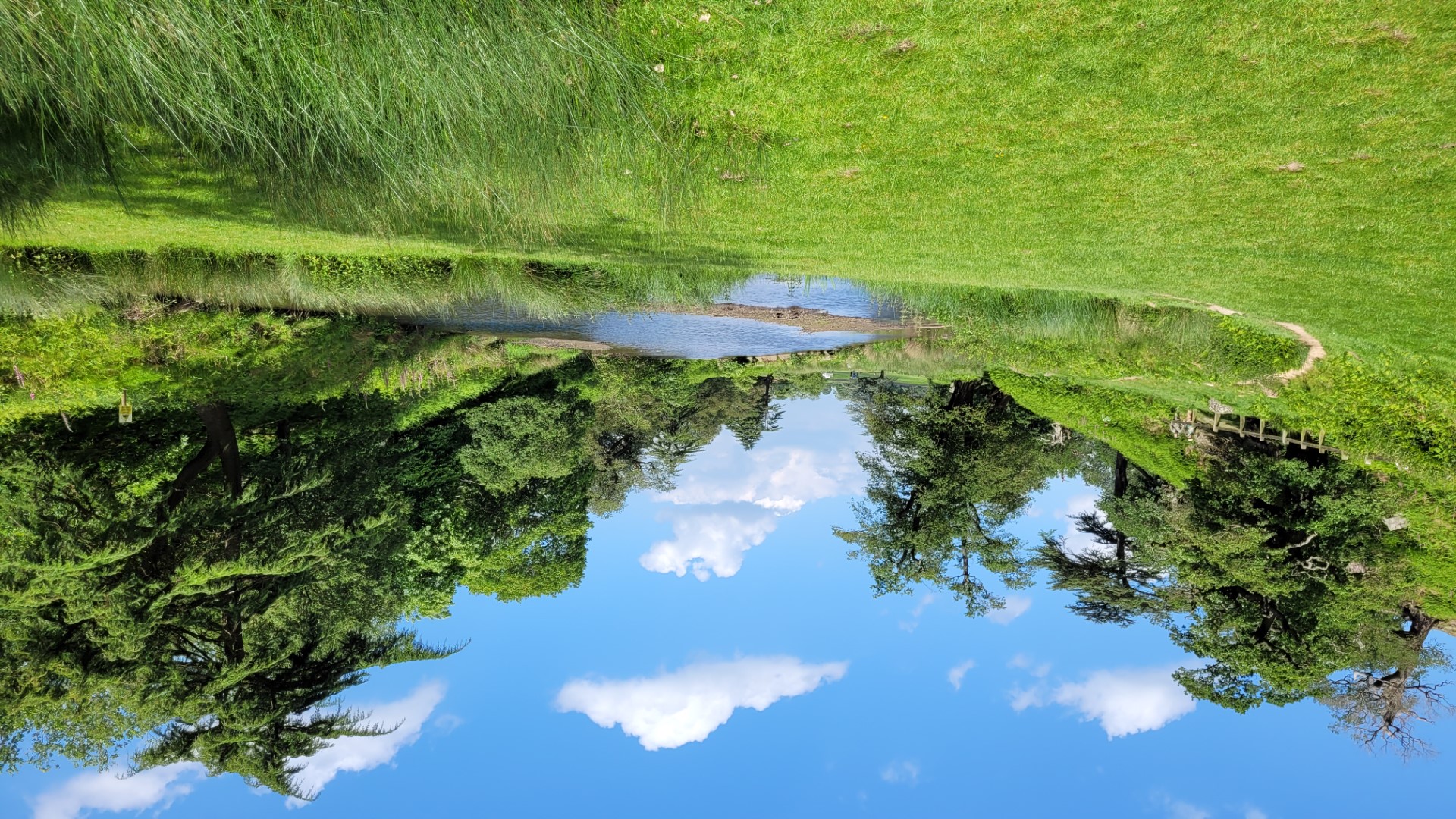 Bradgate Park is one of Leicestershire's most popular visitor sites.